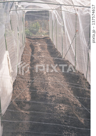 害虫防止に防虫ネットを張る家庭菜園 害虫防止に防虫ネットを張る家庭菜園 137574617