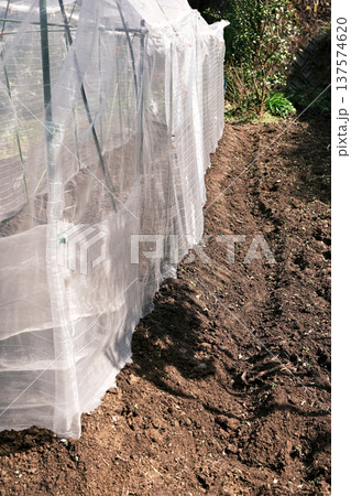 防虫ネットで作るトンネルハウス 137574620