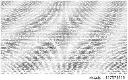 The Reflective Bitstream - Artistic Binary Mirror and Symmetric Data Architecture 137575336