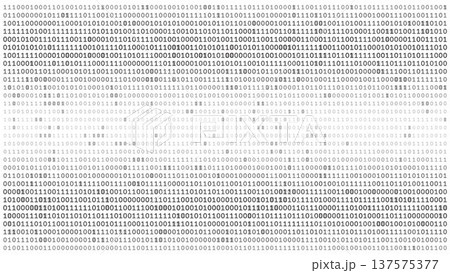 Monolithic Data Field - High Density Binary Code Grid for Enterprise Computing Monolithic Data Field - High Density Binary Code Grid for Enterprise Computing 137575377