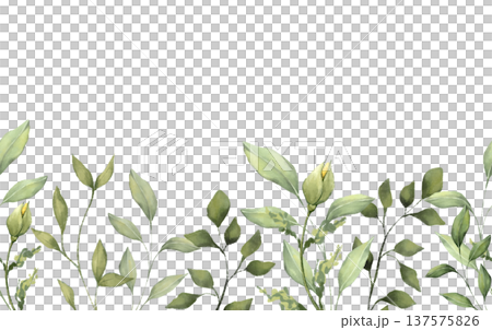 Seamless horizontal border with green leaves and buds in a hand drawn illustration. Suitable for wedding invitations, textile prints, washi tape and floral packaging design. Seamless horizontal border with green leaves and buds in a hand drawn illustration. Suitable for wedding invitations, textile prints, washi tape and floral packaging design. 137575826