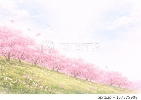 桜シリーズ:桜の丘とパステル空の優しい余白背景 桜シリーズ:桜の丘とパステル空の優しい余白背景 137575908