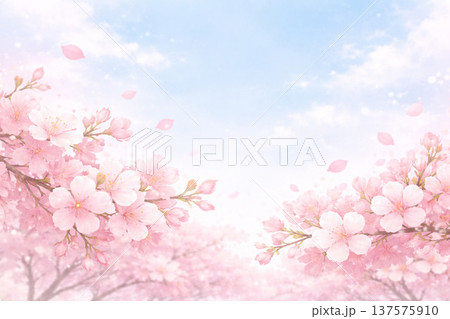 桜シリーズ:桜の枝のアップとボケた空の春背景 桜シリーズ:桜の枝のアップとボケた空の春背景 137575910