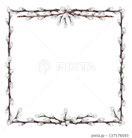 Willow branches frame. Botanical watercolor square empty template of spring renewal and Easter celebration isolated on white background. Perfect for wedding, invitations, cards and seasonal design 137576093