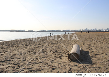 葛西臨海公園　海岸　海辺　 137576173