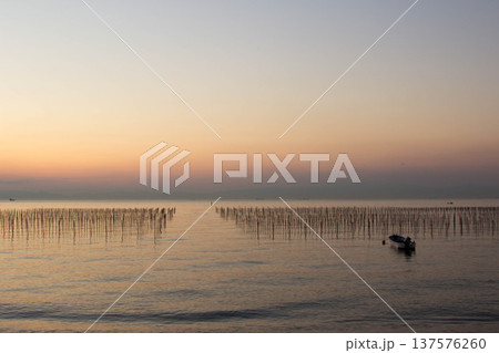 知多半島・伊勢湾の海苔養殖風景と沈む夕日 137576260