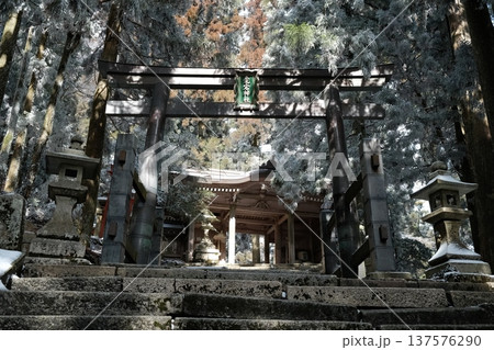 雪の石段と鳥居の先に佇む冬の神社 雪の石段と鳥居の先に佇む冬の神社 137576290