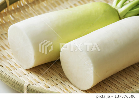 大根　だいこん 137576300