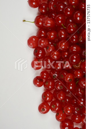 Red currants Red currants 137576735