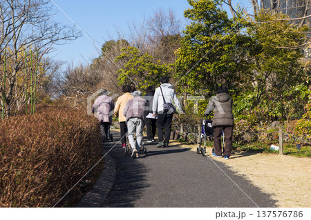 公園を散歩する高齢者たち 公園を散歩する高齢者たち 137576786