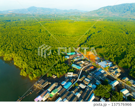 Aerial view green forest nature background,High angle view in Thailand Aerial view green forest nature background,High angle view in Thailand 137576966