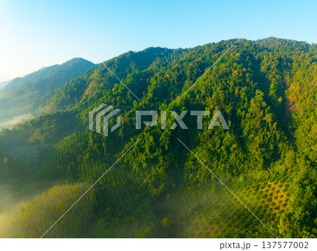 Aerial view of flowing fog waves on mountain tropical rainforest,Bird eye view image over the clouds Amazing nature background with clouds and mountain peaks in Thailand Aerial view of flowing fog waves on mountain tropical rainforest,Bird eye view image over the clouds Amazing nature background with clouds and mountain peaks in Thailand 137577002