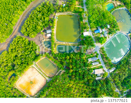 Aerial view green forest nature background,High angle view in Thailand 137577021