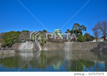 《愛知県》名古屋城 《愛知県》名古屋城 137577275