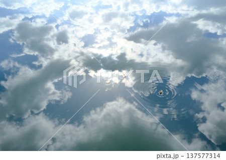 水面に映る空と波紋が揺らぐ抽象的な風景 137577314