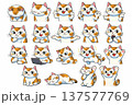 いろいろな猫のイラストセット 137577769