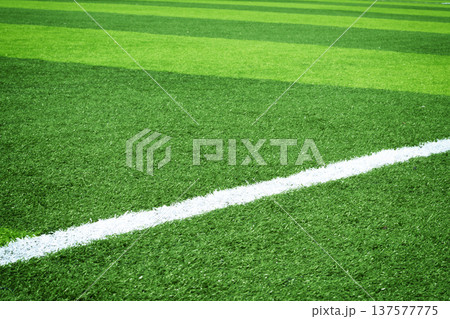 Soccer field 137577775