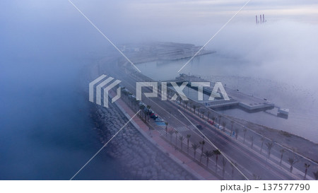 Misty coastal scene with palm-lined road and docks, atmospheric fog over water, serene and mysterious seascape. This image is perfect for travel, nature Misty coastal scene with palm-lined road and docks, atmospheric fog over water, serene and mysterious seascape. This image is perfect for travel, nature 137577790