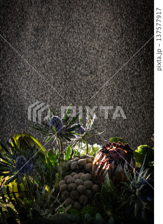 Exotic floral bouquet with mist and blue thistles on dark background Exotic floral bouquet with mist and blue thistles on dark background 137577917