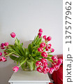 Pink tulip flower bouquet Sophisticated contemporary setting featuring prominent display of pink tulips 137577962