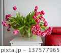 Pink tulip flower bouquet Cheerful tulip arrangement adds warmth and charm to seasonal decor setups 137577965