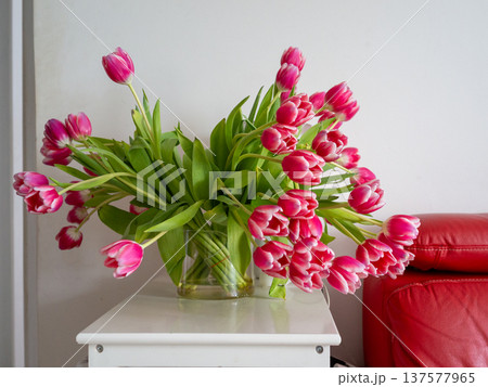 Pink tulip flower bouquet Cheerful tulip arrangement adds warmth and charm to seasonal decor setups 137577965
