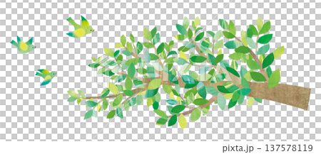 枝と小鳥のカットイラスト 137578119
