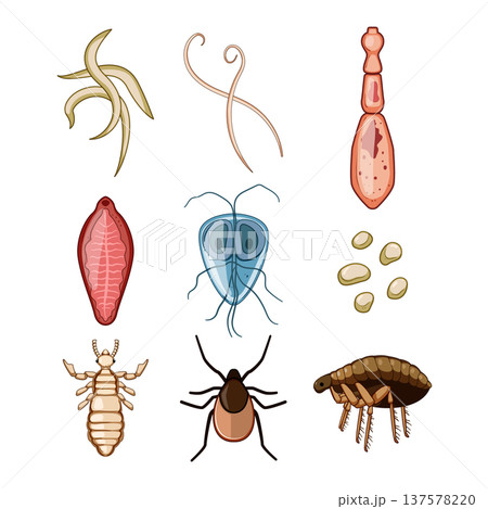Various human and animal parasites, pests, and internal worms 137578220