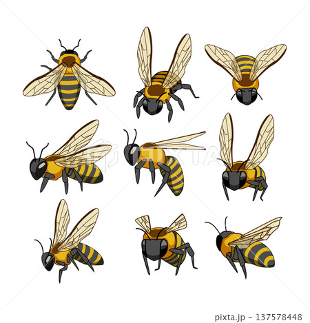 Cute cartoon bees flying and buzzing illustration pack Cute cartoon bees flying and buzzing illustration pack 137578448