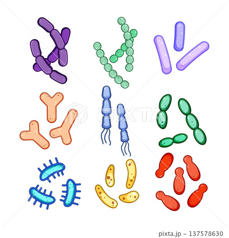 Different types of probiotic bacteria and microorganism set 137578630