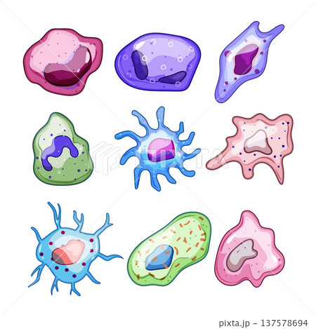 Immune system cells defending human body from pathogens Immune system cells defending human body from pathogens 137578694