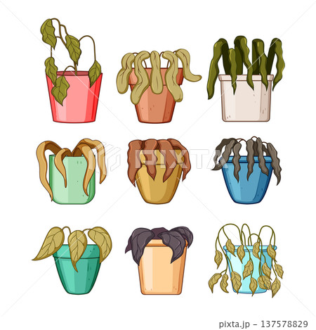 Various dying potted plants indicating neglect and poor care 137578829