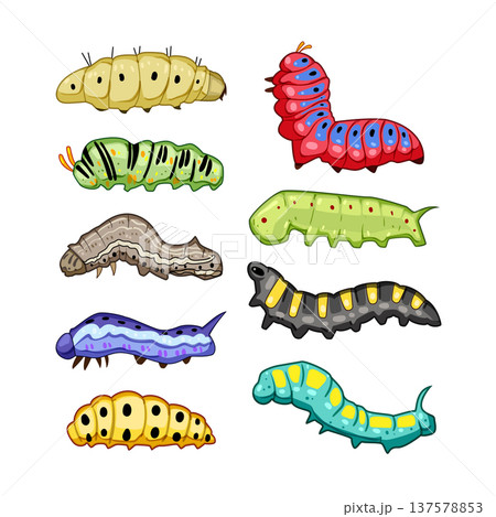 Colorful cartoon caterpillars graphic set illustrating insect life 137578853