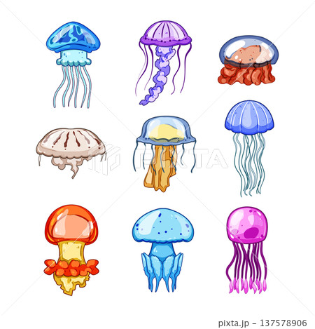 jellyfish set cartoon vector illustration jellyfish set cartoon vector illustration 137578906