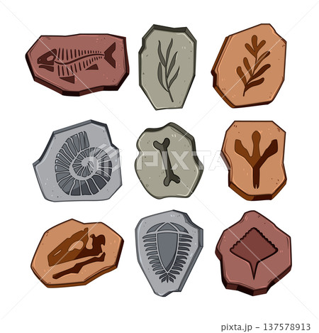 fossil set cartoon vector illustration 137578913
