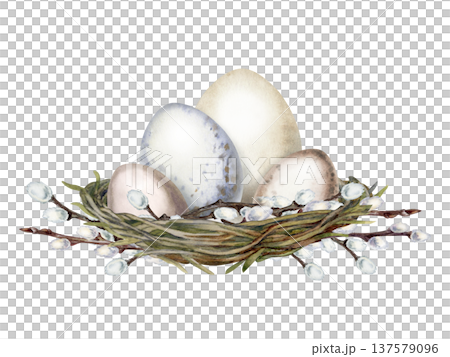 Natural watercolor bird eggs in a woven nest with pussy willow branches. Rustic spring composition symbolizing new life and Easter celebration for greeting cards, invitations 137579096
