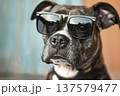 Dog with glasses. Generative AI 137579477