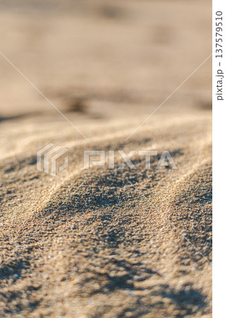 Soft desert sand texture with wind formed patterns in warm sunlight natural background Soft desert sand texture with wind formed patterns in warm sunlight natural background 137579510