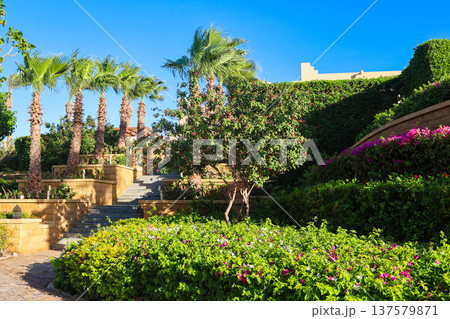 Well-maintained luxurious grounds of a 5-star hotel with a garden and palm trees Well-maintained luxurious grounds of a 5-star hotel with a garden and palm trees 137579871