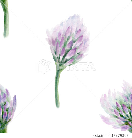 Clover soft lilac flower in seamless pattern symbolizing wedding grace and tender romance.Hand drawn watercolor in washes,fine detail for bridal stationery,spring celebrations,feminine design projects 137579898