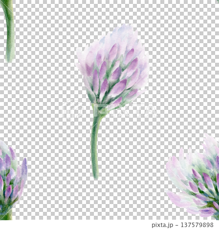 Clover soft lilac flower in seamless pattern symbolizing wedding grace and tender romance.Hand drawn watercolor in washes,fine detail for bridal stationery,spring celebrations,feminine design projects 137579898