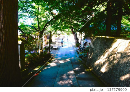 山寺　寶珠山阿所川院立石寺　立石寺 137579900