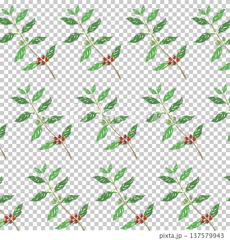 コーヒーの木のシームレスパターン背景イラスト（斜め配置） 137579943