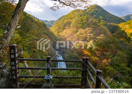 宮城県仙台市 色づき始めた紅葉の「秋保大滝」と展望台 宮城県仙台市 色づき始めた紅葉の「秋保大滝」と展望台 137580014