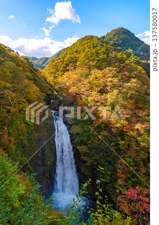 宮城県仙台市 色づき始めた紅葉の山々とダイナミックに流れ落ちる「秋保大滝」の絶景 137580017