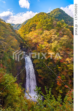 宮城県仙台市 色づき始めた紅葉の山々とダイナミックに流れ落ちる「秋保大滝」の絶景 宮城県仙台市 色づき始めた紅葉の山々とダイナミックに流れ落ちる「秋保大滝」の絶景 137580020