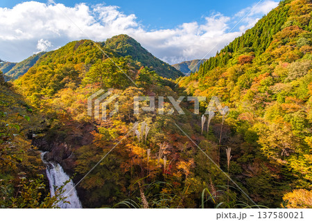 宮城県仙台市 初秋の渓谷と秋保大滝を包み込む雄大な山並み 宮城県仙台市 初秋の渓谷と秋保大滝を包み込む雄大な山並み 137580021