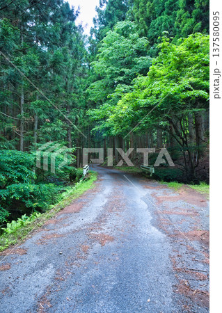 山の奥へと続く荒れている林道 山の奥へと続く荒れている林道 137580095