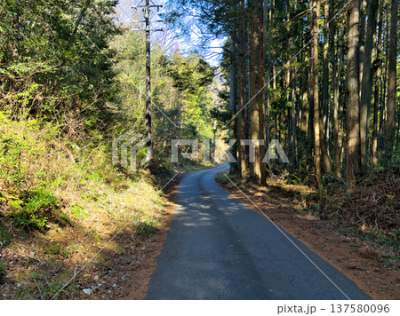 山の奥へと続く荒れている林道 137580096
