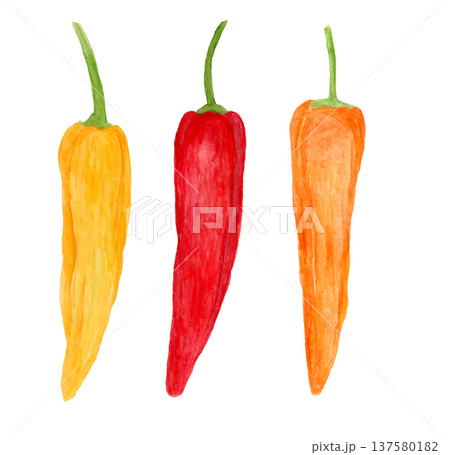 パレルモの手描き水彩イラスト 137580182